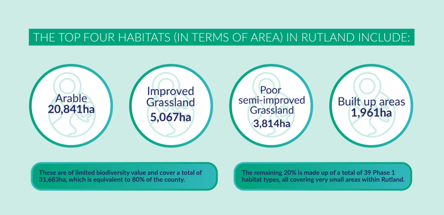 Open space - Image showing data about the 4 main habitats in Rutland in 4 circles; 20,841 ha Arable land, 5,067 imprvoed grassland, 3,814 ha Poor semi-improved grassland, 1,961 ha built up areas All four cover 31,683 ha equivelent to 80% of the county and have limited biodiversity value  The remaining 20% is made up of 39 Phase 1 habitat types and cover a very small areas within Rutland